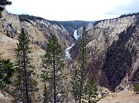 Canyon village Upper fall (14).JPG